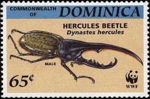 Colnect-1748-078-Hercules-Beetle-Dynastes-hercules.jpg
