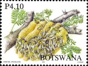 Colnect-931-729-African-Honey-Bee-Apis-mellifera-scutellata.jpg