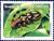 Colnect-3141-288-Longhorn-Beetle-Batus-barbicornis.jpg