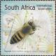 Colnect-5476-650-Cape-Honey-Bee-Apis-mellifera-capensis.jpg