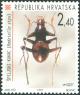 Colnect-5642-160-Cave-Beetle-Radziella-styx.jpg