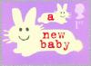 Colnect-123-554-Rabbits--a-new-baby-.jpg