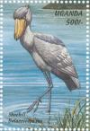 Colnect-1715-788-Shoebill-Balaeniceps-rex.jpg