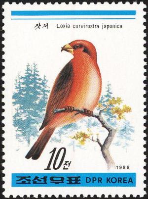 Colnect-1614-794-Japanese-Red-Crossbill%C2%A0Loxia-curvirostra-japonica--.jpg