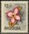 Colnect-1262-484-Pink-sabi-star-Adenium-obesum.jpg