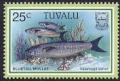 Colnect-6165-645-Bluetail-Mullet.jpg