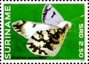 Colnect-3489-932-Creamy-Marblewing-Euchloe-ausonides.jpg