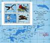 Colnect-3067-778-Brown-Booby-Sula-leucogaster.jpg