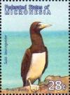 Colnect-5727-249-Brown-Booby-Sula-leucogaster.jpg