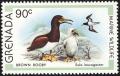 Colnect-1918-055-Brown-Booby-Sula-leucogaster.jpg