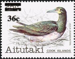 Colnect-4422-586-Brown-Booby-Sula-leucogaster.jpg