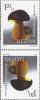 Colnect-1068-820-Bronze-boletus-boletus-aereus.jpg