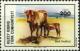 Colnect-5149-119-Cattle-Bos-primigenius-taurus.jpg