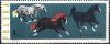 Colnect-452-100-Mixed-Horse-Breeds-Equus-ferus-caballus.jpg