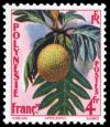 Colnect-8333-565-Breadfruit-Tree.jpg
