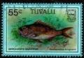 Colnect-6165-648-Brighams-Snapper.jpg