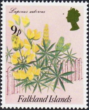 Colnect-3909-664-Flowering-Shrubs-Tree-lupin-Lupinus-arboreus.jpg