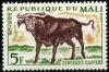 Colnect-1398-972-African-buffalo-Syncerus-caffer.jpg