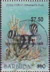 Colnect-2111-835-Fire-Coral-Banded-Butterfly-Fish-Chaetodon-striatus.jpg