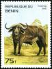 Colnect-2571-394-African-Buffalo-Syncerus-caffer.jpg