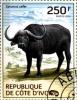 Colnect-3444-509-African-Buffalo-Syncerus-caffer.jpg