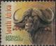 Colnect-3372-438-African-Buffalo-Syncerus-caffer.jpg