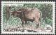 Colnect-4061-020-African-Buffalo-Syncerus-caffer.jpg