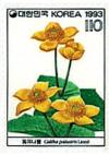 Colnect-2680-871-Caltha-palustris.jpg