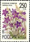 Colnect-2819-877-Campanula-patula.jpg