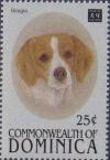 Colnect-3198-161-Beagle-Canis-lupus-familiaris.jpg