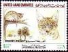 Colnect-3410-890-Arabian-Wildcat-Felis-silvestris-gordoni.jpg