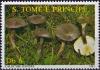 Colnect-5557-009-Calocybe-ionides.jpg