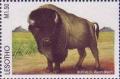 Colnect-1736-216-American-Bison-Bison-bison.jpg