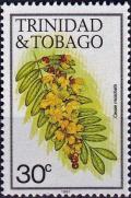 Colnect-4256-698-Cassia-moschatta.jpg