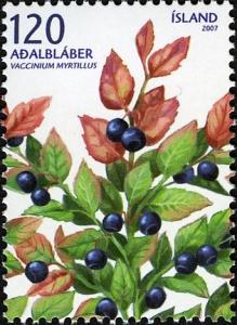 Colnect-5063-765-Vaccinium-myrtillus.jpg