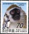 Colnect-2508-090-Grivet-Cercopithecus-aethiops.jpg