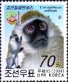 Colnect-2571-424-Grivet-Cercopithecus-aethiops.jpg