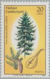 Colnect-2606-622-Oriental-Spruce-Picea-orientalis-Stringed-Instrument.jpg
