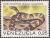Colnect-1280-973-Venezuela-Lancehead-Bothrops-venezuelensis.jpg