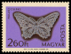 1577_Lace_260.png