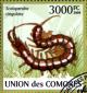 Colnect-3798-539-Megarian-Banded-Centipede-Scolopendra-cingulata.jpg