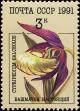 Colnect-4855-189-Cypripedium-calceolus---Lady-s-slipper-Orchid.jpg