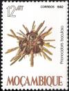 Colnect-1117-183-Baculosa-Urchin-Prionocidaris-baculosa.jpg