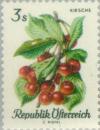 Colnect-136-620-Wild-Cherry-Prunus-avium.jpg