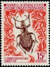 Colnect-885-995-Weevil-Christiansenia-dreuxi.jpg