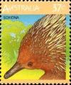 Colnect-952-057-Short-beaked-Echidna-Tachyglossus-aculeatus.jpg