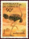 Colnect-997-007-Ostrich-Struthio-camelus.jpg