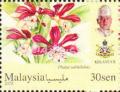 Colnect-5448-323-Orchids-of-Malaysia.jpg
