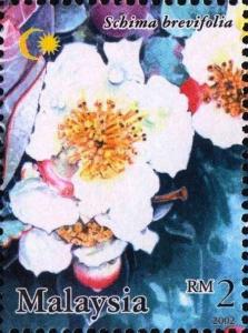 Colnect-4348-015-Schima-brevifolia.jpg