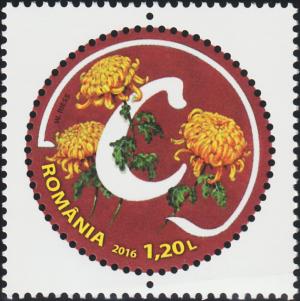 Colnect-5889-421-Letter-C-and-Garden-Chrysanthemum-Chrysanthemum-hortorum.jpg